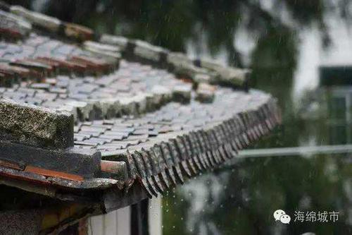 肇庆雨水收集